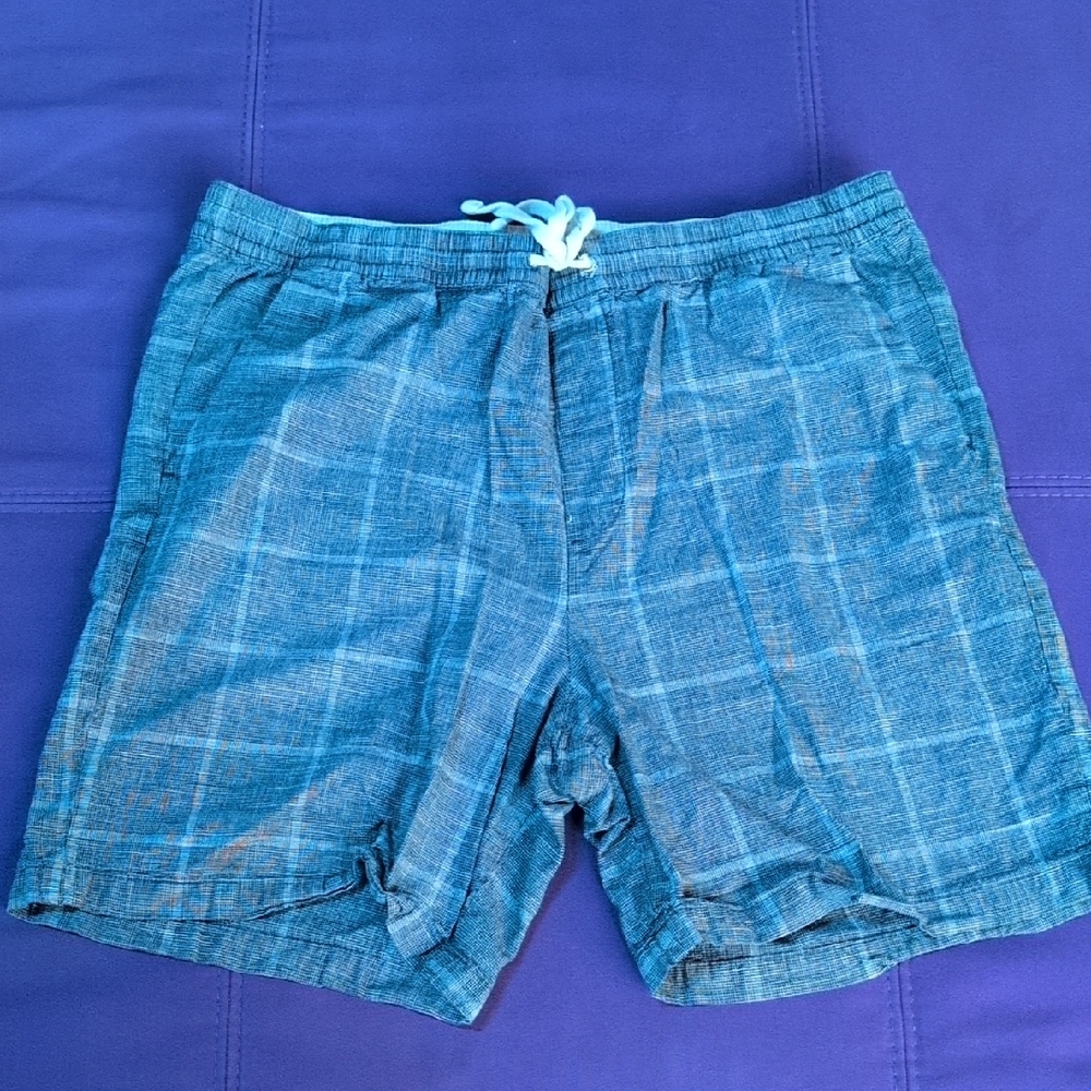 Banana Republic Blue Plaid Men's Shorts XL